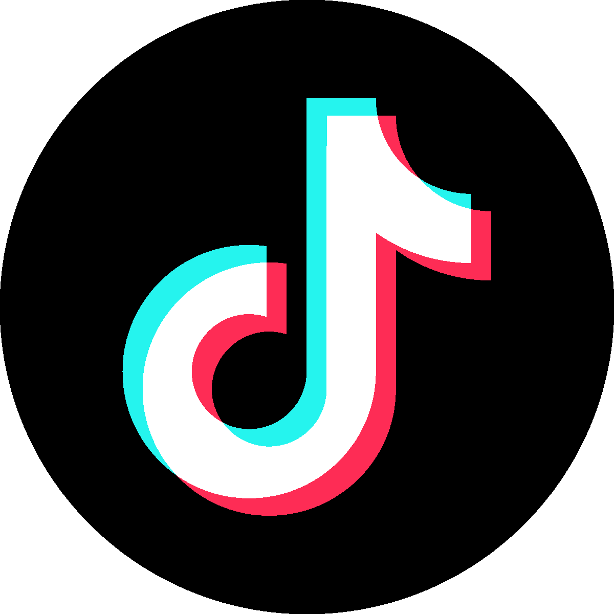 TikTok social media link